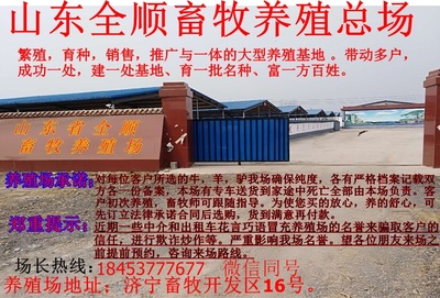 堆龍德慶縣優(yōu)質(zhì)波爾山羊成年種羊及畜牧漁業(yè)飼料銷售服務(wù)