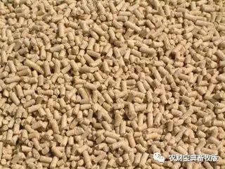 討要飼料款遇“神逆轉(zhuǎn)”，養(yǎng)殖戶(hù)反訴飼料致生豬死亡